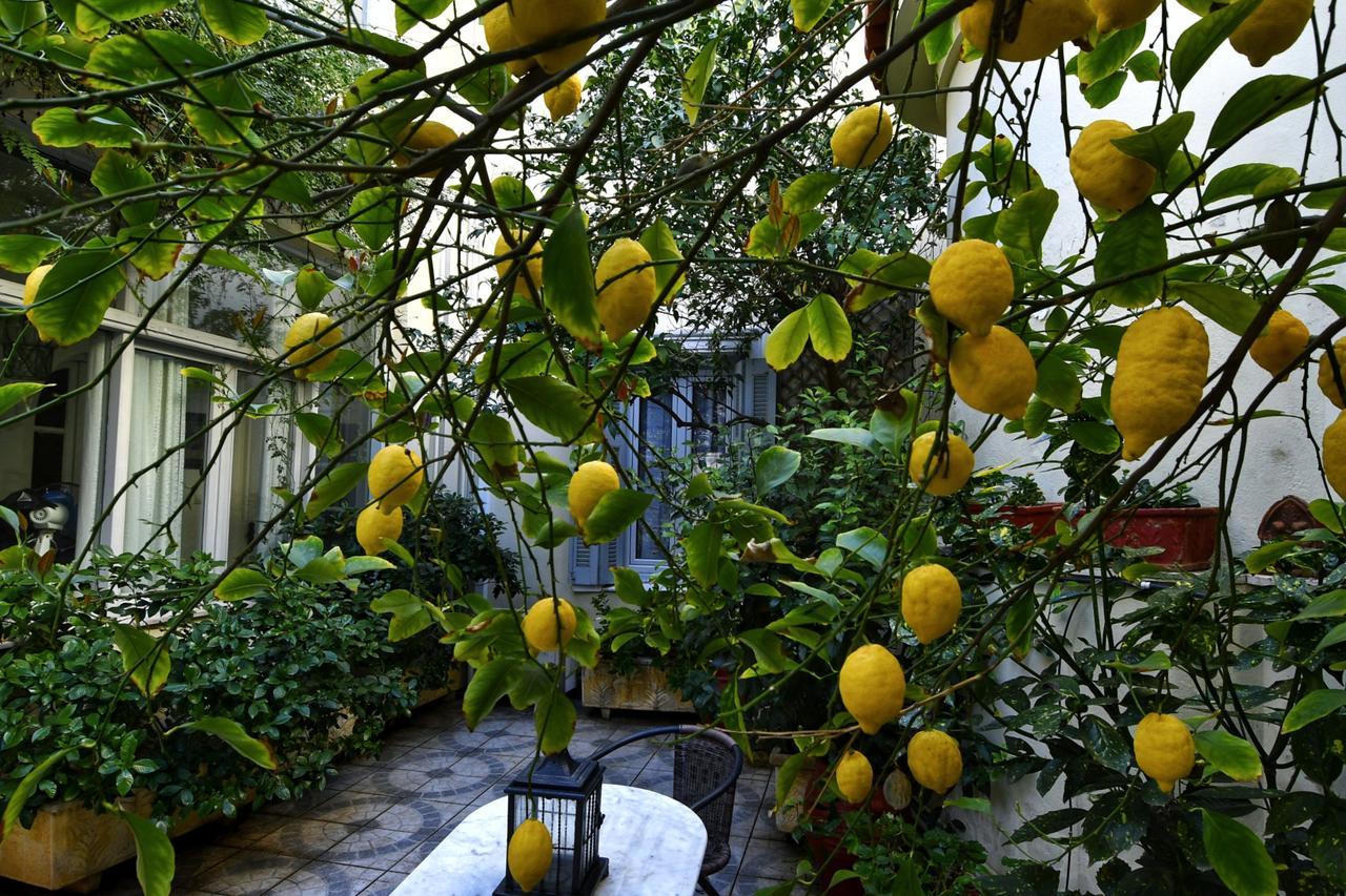 Athens Authentic Elegance At Acropolis Apartment Ngoại thất bức ảnh